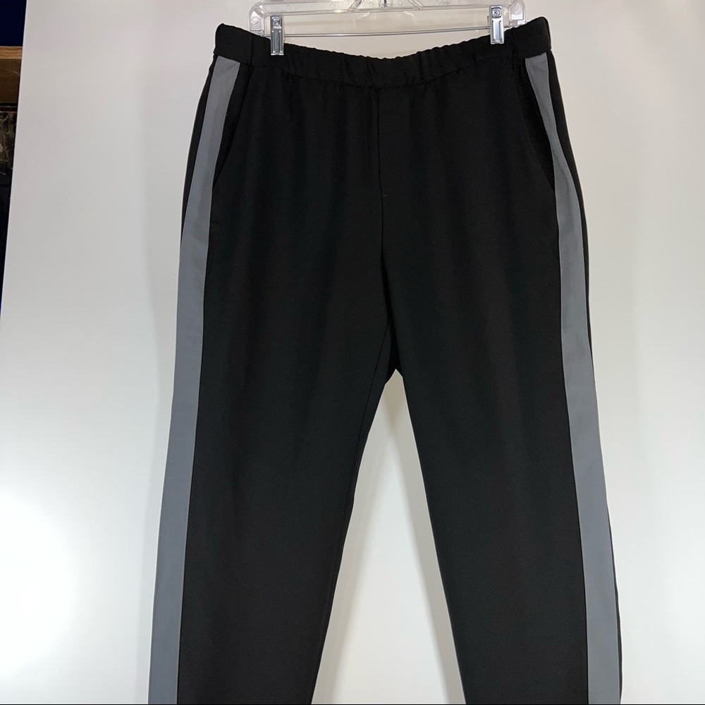 Banana Republic Black Gray Stripe Hayden Pants Size Large